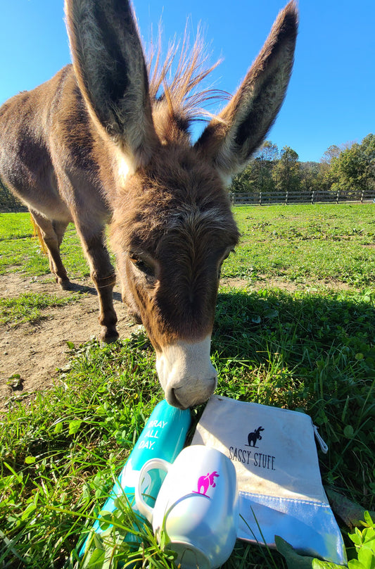 23 Facts You May Not Know About the Fabulous Donkey
