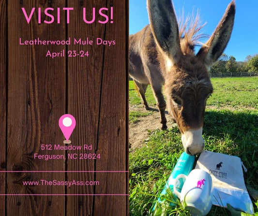 Mule Day 2022 - Leatherwood