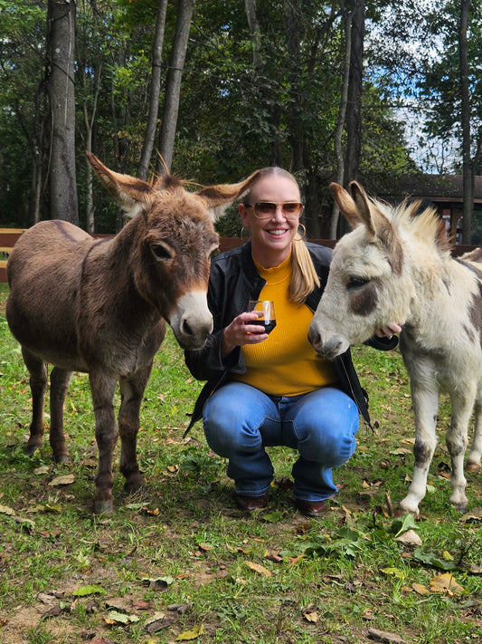 Sponsor a Sassy Donkey!