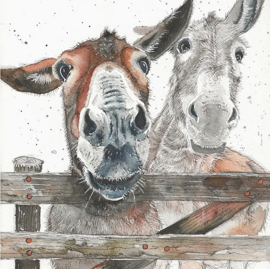 Donkey Duo Card
