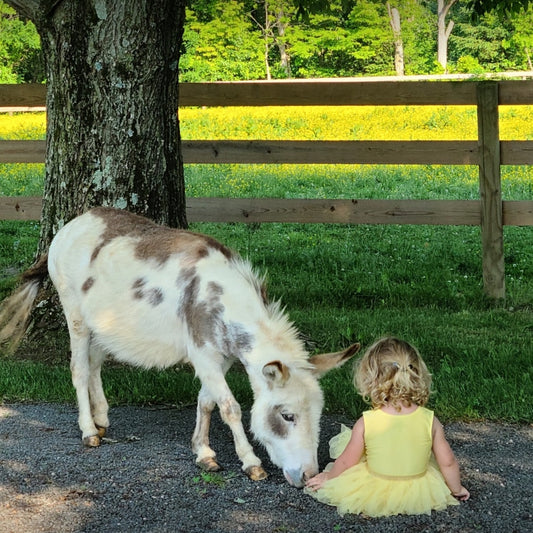 Read With A Donkey - April 12th