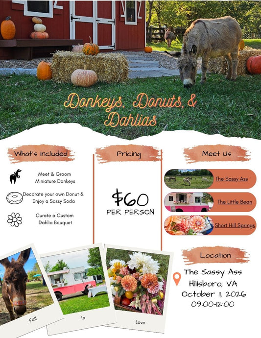 Donkeys, Donuts, and Dahlias- October 11th 09:00 - 12:00