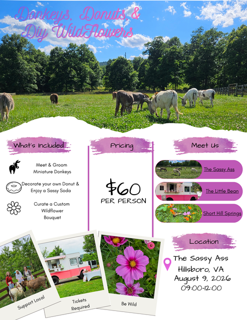 Donkeys, Donuts, & DIY Wildflowers at The Sassy Ass in Hillsboro