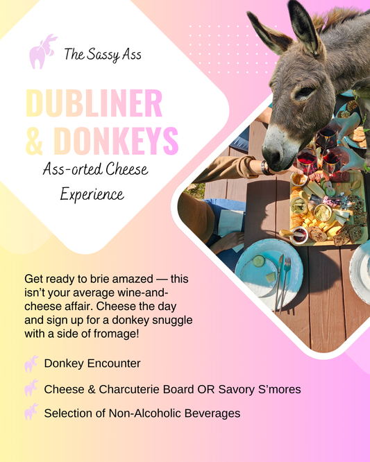 Dubliner & Donkeys Ass-orted Cheese Experience