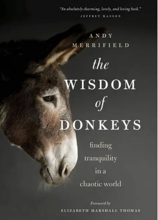 The Wisdom of Donkeys: Finding Tranquility