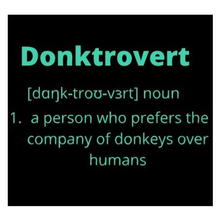 Donktrovert - A person who prefers the company of donkeys over humans detail